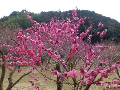 西来寺(山口県)