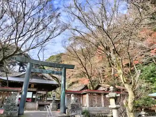 金崎宮の鳥居