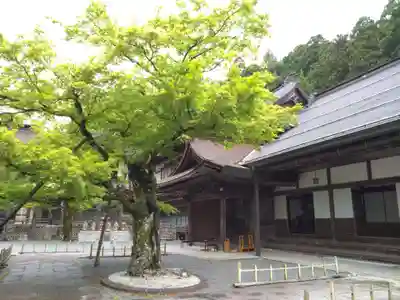 龍泉院(和歌山県)
