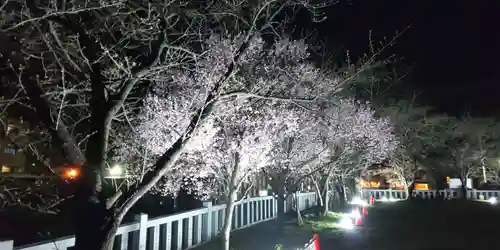小垣江神明神社の自然