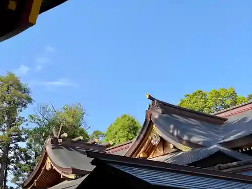 亀ケ池八幡宮のその他建物