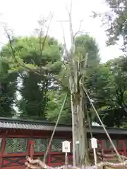 根津神社(東京都)