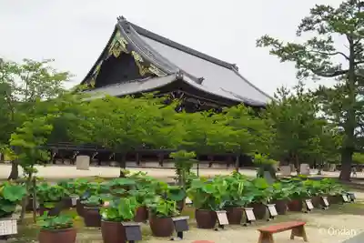 本山専修寺(三重県)