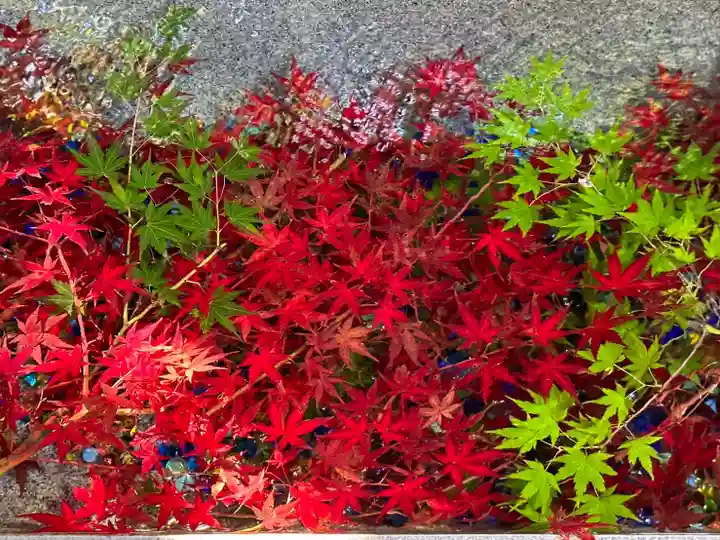 東海市熊野神社の手水舎