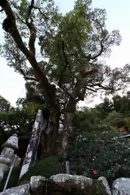 青岸渡寺(和歌山県)