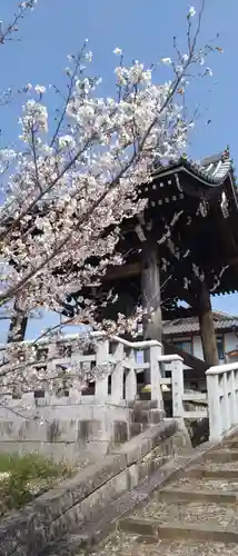 くろ谷 金戒光明寺(京都府)