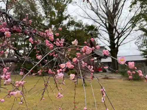 美奈宜神社(福岡県)