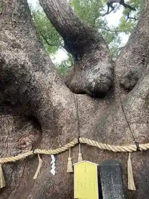 三島神社(大阪府)