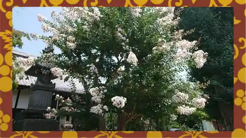 大蔵院(群馬県)