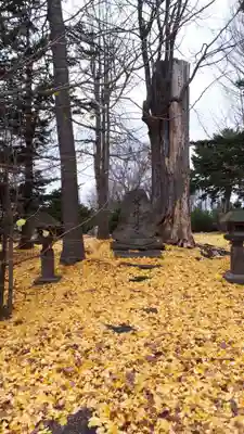 芽生神社のその他建物