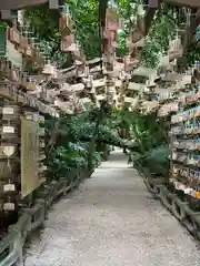 青島神社（青島神宮）(宮崎県)