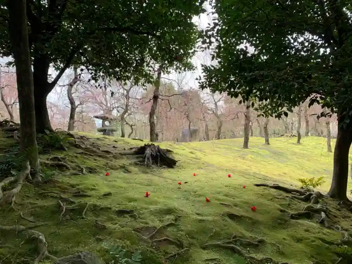 城南宮の御朱印