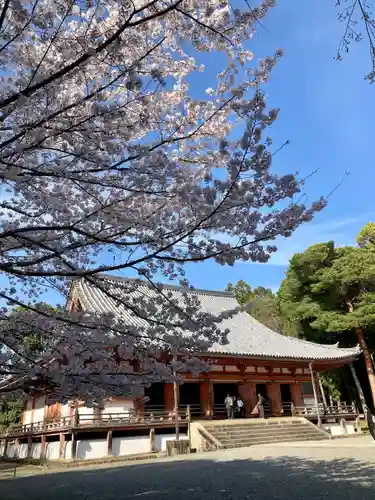醍醐寺の本殿・本堂