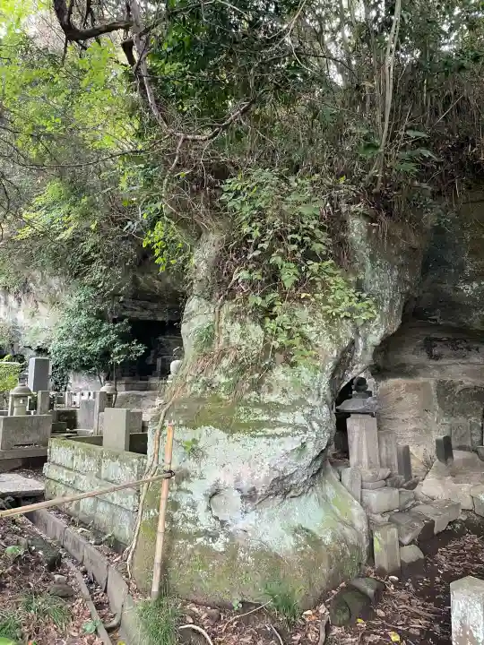 浄光明寺(神奈川県)