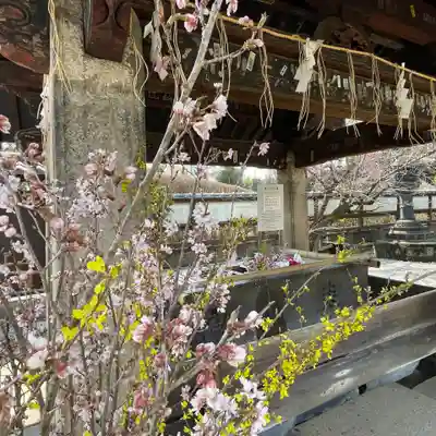 上野東照宮の手水舎