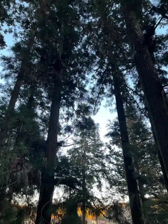 大宮温泉神社(栃木県)