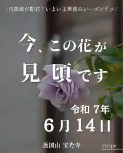 宝光寺(北海道)(2025年06月14日(土) 13時13分57秒投稿)
