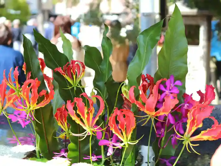 三津厳島神社の手水舎