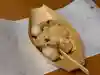 gakutestaaあ