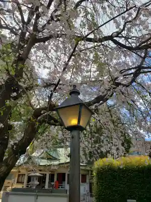 荻窪白山神社(東京都)