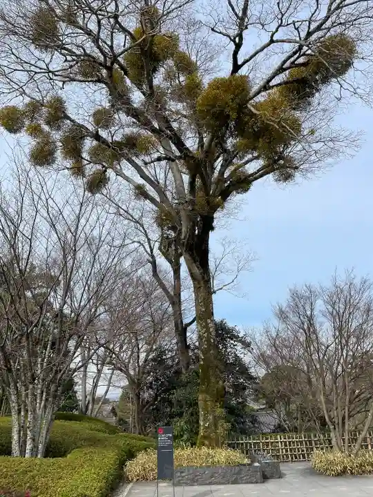 平等院(京都府)