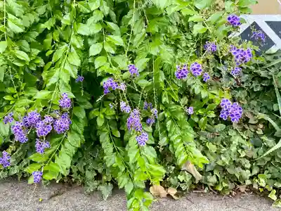 感應寺(東京都)
