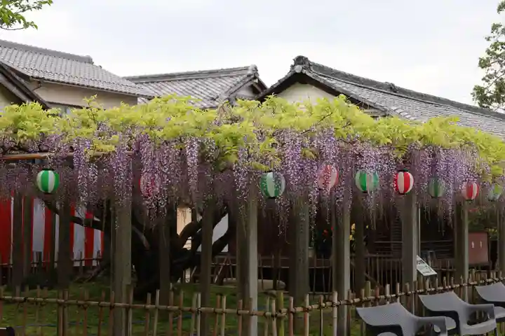 惣社神社(滋賀県)