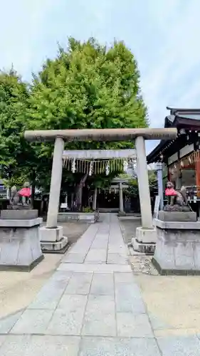 飛木稲荷神社の鳥居