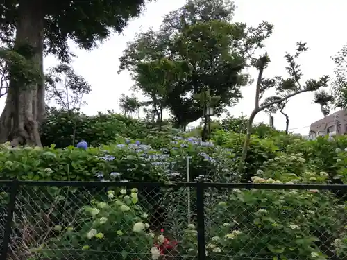 白山神社の庭園