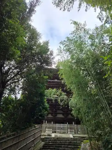 當麻寺(奈良県)