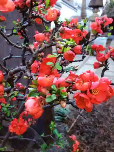 聖輪寺(東京都)
