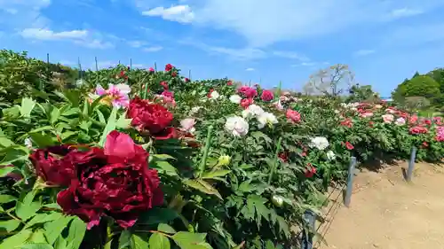 金蛇水神社(宮城県)