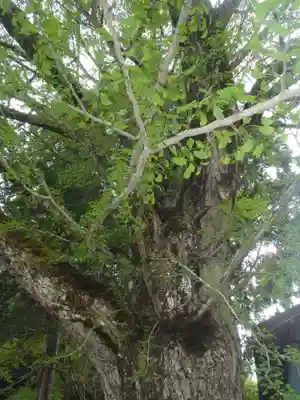 津嶋神社(愛知県)