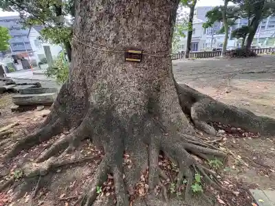 八幡神社(静岡県)