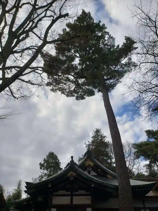 下高井戸八幡神社(東京都)