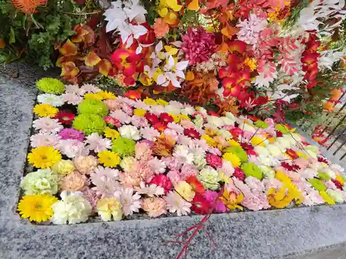 金蛇水神社(宮城県)