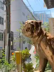 少彦名神社の狛犬