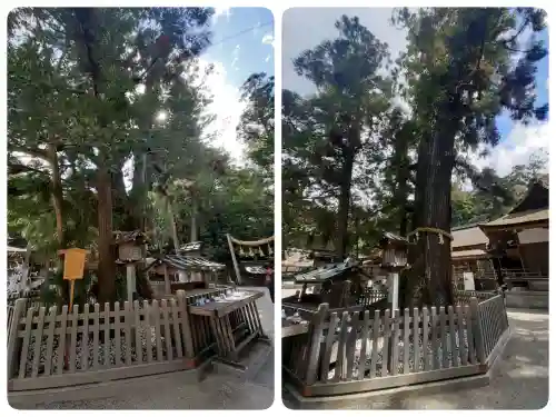 大神神社の{uncategorized: "未分類", other: "その他", undefined: "問題あり", building: "その他建物", grave: "お墓", sacred_gate: "鳥居", guardian: "狛犬", statue: "像", buddha: "仏像", history: "歴史", nature: "自然", garden: "庭園", animal: "動物", pagoda: "塔", temizu: "手水舎", mountain_gate: "山門・神門", sanctuary: "本殿・本堂", subordinate: "末社・摂社", art: "芸術", scenery: "景色", jizo: "地蔵", ema: "絵馬", goshuin: "御朱印", omikuji: "おみくじ", items: "授与品その他", amulet: "お守り", goshuincho: "御朱印帳", eats: "食事", festival: "お祭り", votive_dance: "神楽", shichigosan: "七五三参", wedding: "結婚式", experience: "体験その他", initially: "初詣", around: "周辺", anti_infection: "感染症対策"}