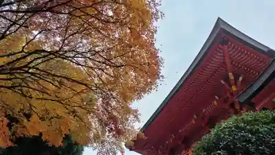 近江神宮(滋賀県)