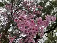 美奈宜神社(福岡県)