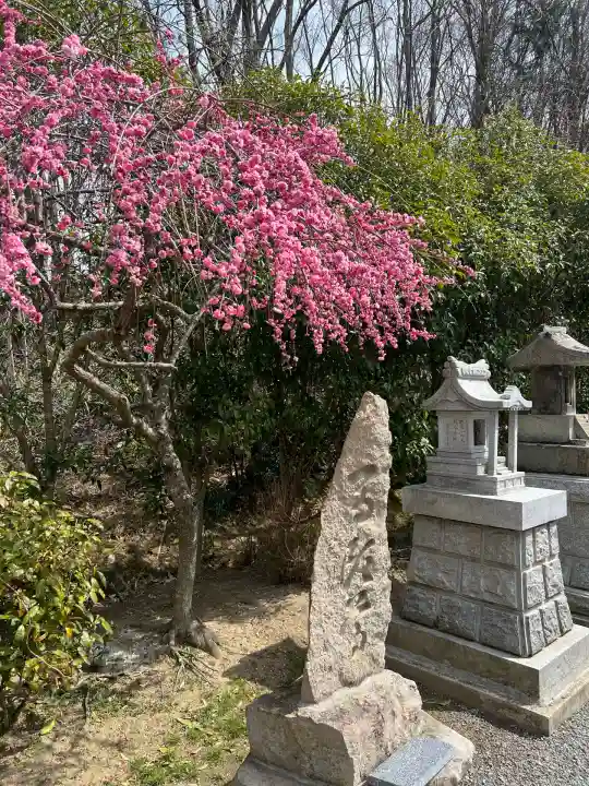 高屋敷稲荷神社(福島県)