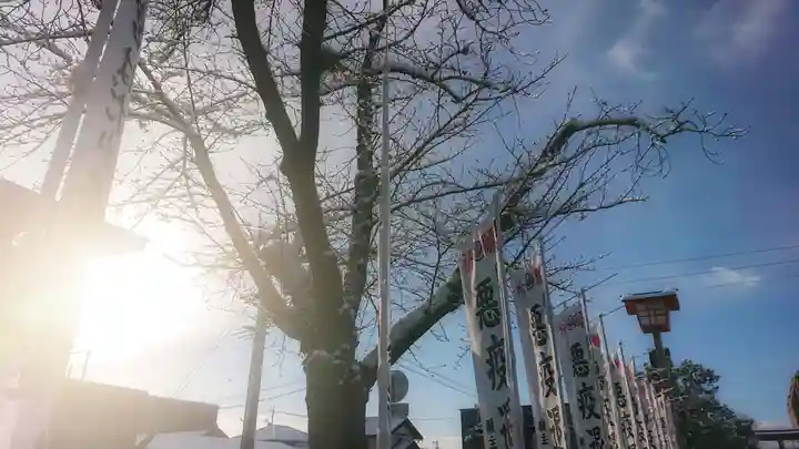 尾張大國霊神社(国府宮)の自然