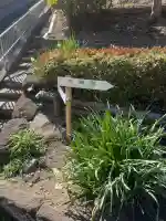 天源院の{uncategorized: "未分類", other: "その他", undefined: "問題あり", building: "その他建物", grave: "お墓", sacred_gate: "鳥居", guardian: "狛犬", statue: "像", buddha: "仏像", history: "歴史", nature: "自然", garden: "庭園", animal: "動物", pagoda: "塔", temizu: "手水舎", mountain_gate: "山門・神門", sanctuary: "本殿・本堂", subordinate: "末社・摂社", art: "芸術", scenery: "景色", jizo: "地蔵", ema: "絵馬", goshuin: "御朱印", omikuji: "おみくじ", items: "授与品その他", amulet: "お守り", goshuincho: "御朱印帳", eats: "食事", festival: "お祭り", votive_dance: "神楽", shichigosan: "七五三参", wedding: "結婚式", experience: "体験その他", initially: "初詣", around: "周辺", anti_infection: "感染症対策"}