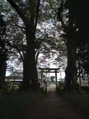 智賀都神社の鳥居