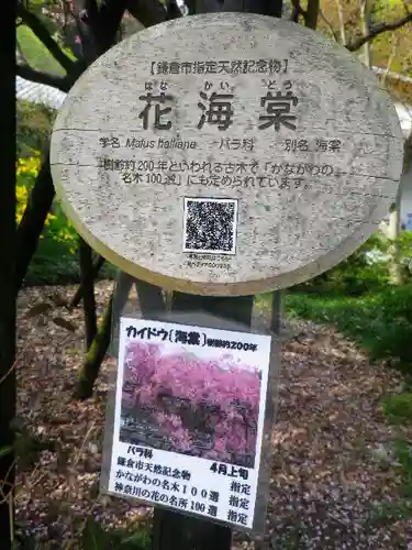 光則寺のその他建物