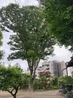 瑞円寺(東京都)