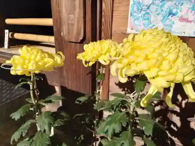 今宮坊(埼玉県)