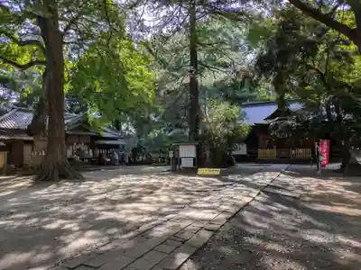 氷川女體神社(埼玉県)