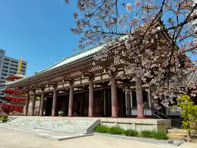 東長寺の本殿・本堂