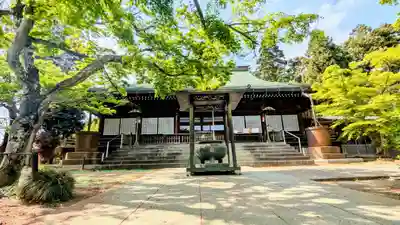本土寺の本殿・本堂